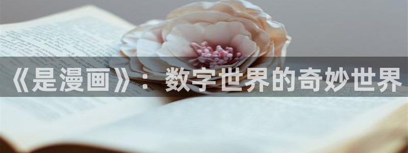 喵趣动漫