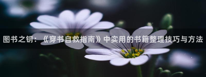 喵趣漫画在线观看