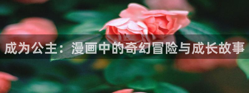 喵趣猫粮好不好
