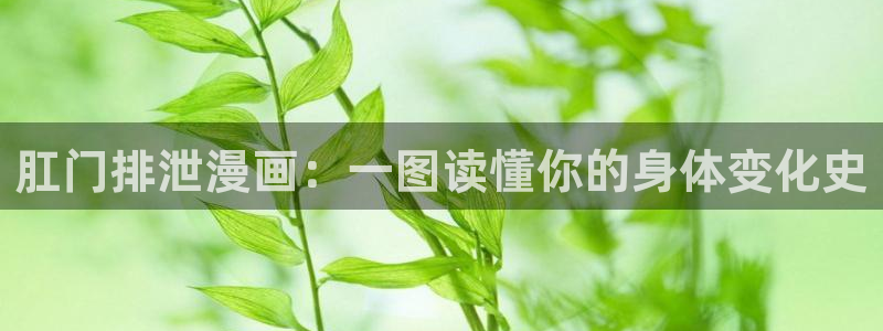 喵趣漫画广告：肛门排泄漫画：一图读懂你的身体变化史