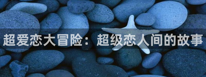 新喵趣