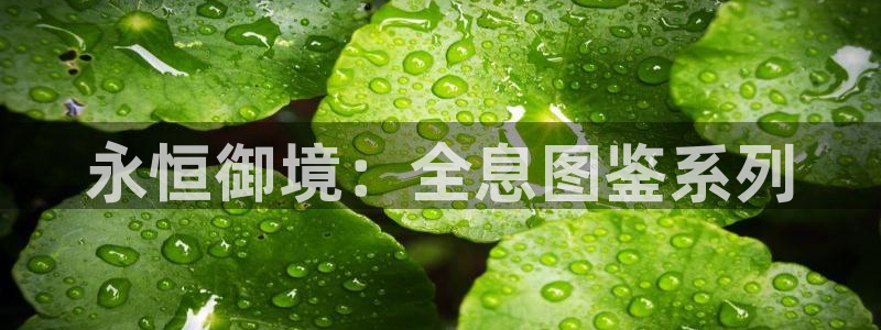 喵趣漫画最新版本2026年