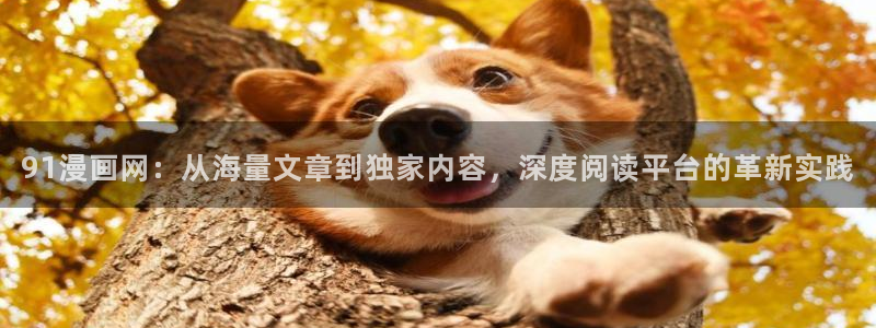喵趣漫画下载下载