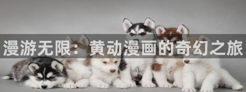 喵趣下载：漫游无限：黄动漫画的奇幻之旅