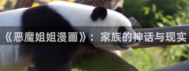 喵趣影视：《恶魔姐姐漫画》：家族的神话与现实