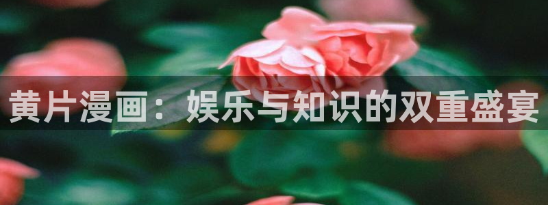 喵趣影视：黄片漫画：娱乐与知识的双重盛宴