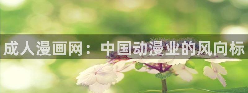 喵趣漫画怎么下载安装：成人漫画网：中国动漫业的风向标