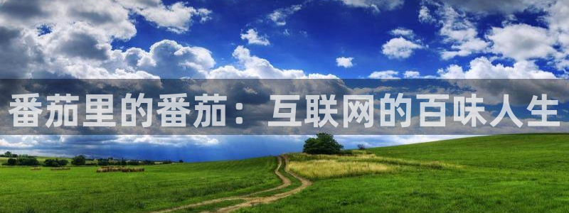 喵趣漫画app复活版：番茄里的番茄：互联网的百味人生