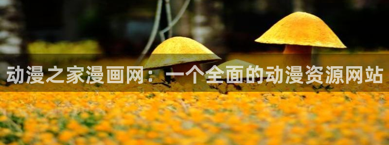 喵趣:：动漫之家漫画网：一个全面的动漫资源网站