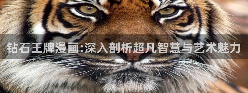 喵趣漫画免费看漫画：钻石王牌漫画:深入剖析超凡智慧与艺术魅力