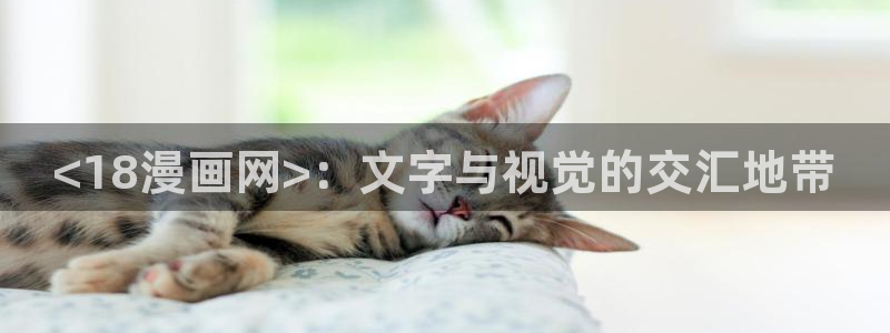 喵趣漫画app入口：<18漫画网>：文字与视觉的交汇地带